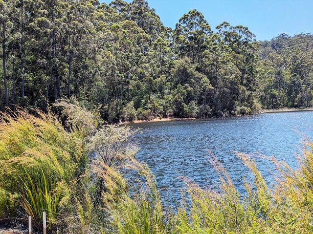 Beedelup Falls