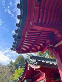 【神奈川 箱根】箱根のパワースポット⛩️箱根神社
