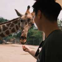 YOU MUST VISIT SAFARI PARK KANCHANABURI 