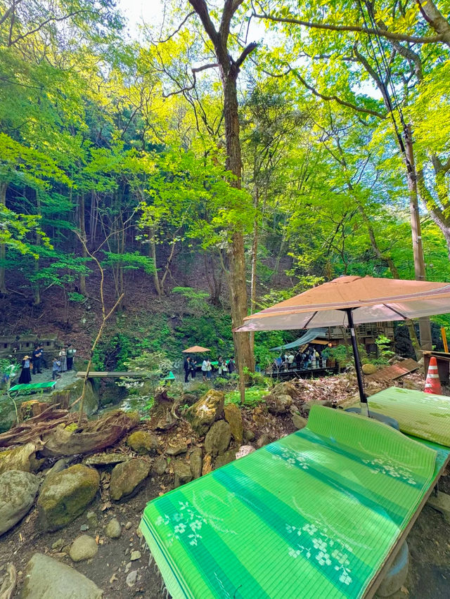 【栃木】ココはどこ？森と水辺の絶景癒しカフェ𖠚ᐝ