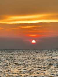 Botany Beach ที่พักฟีลธรรมชาติ ติดทะเลหาดจอมเทียน