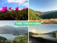【春天打卡好去處】金山郊野公園：🙈馬騮山🐒上四大水塘，郊遊行山必去‼️