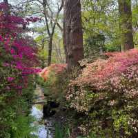 大恩公園：自然景觀，春天好去處