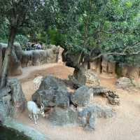 廣州動物園：珍稀動物，放鬆心情的理想去處