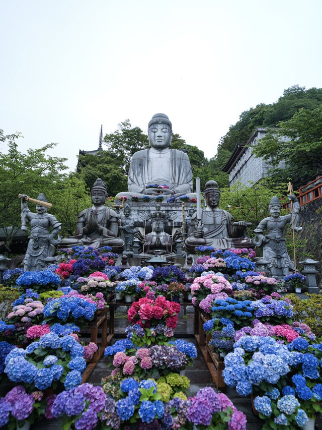 【奈良】期間限定‼️梅雨の時期こそ楽しめる😍紫陽花×大仏映え絶景✨