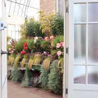 【NZ】オークランドWinter Garden
