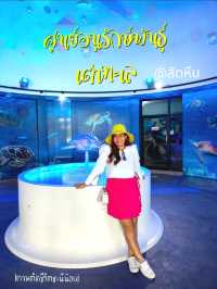 ไปชมน้องเต่าที่ศูนย์อนุรักษ์พันธุ์เต่าทะเล