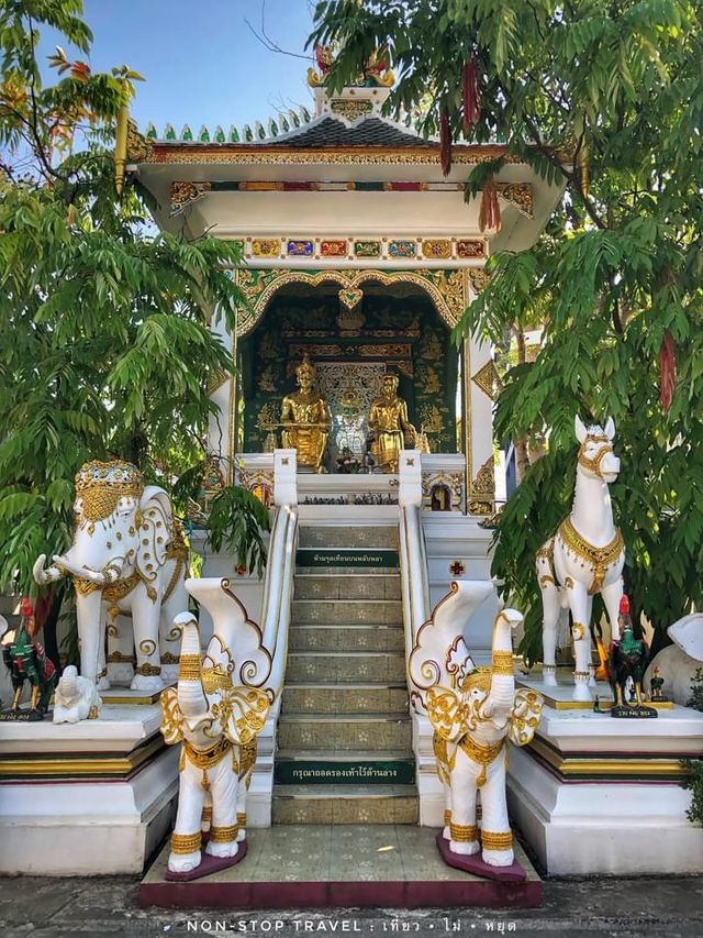 ชมความงดงามของวัดคู่บ้านคู่เมืองเชียงรายมายาวนาน