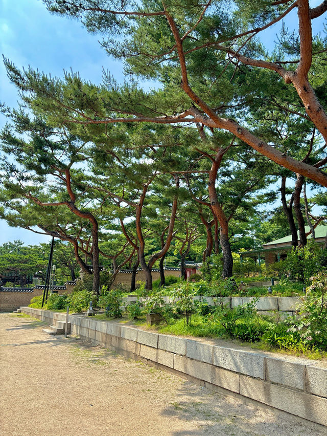 아름다운 분위기를 자아내는 서울 명소 석조전💚