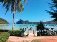 🏖️ Phi Phi Island Beach Paradise 