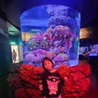 Sea Life  Bangkok