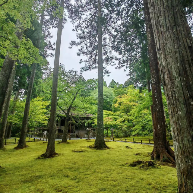 本明院～靜謐之地