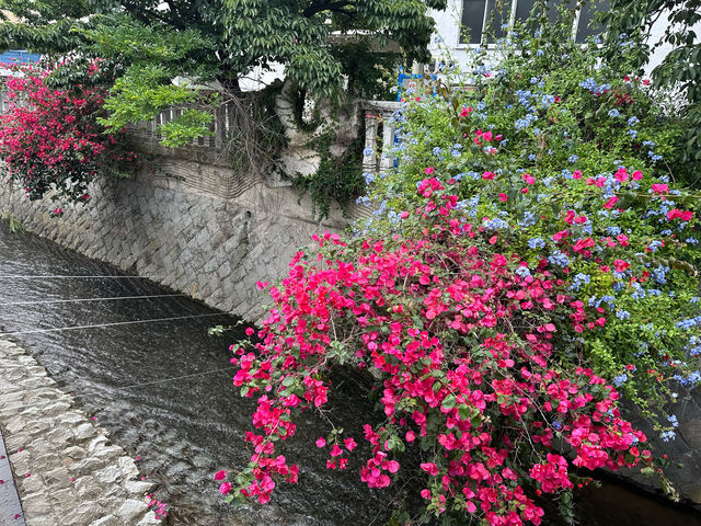 【🇯🇵東京近郊】熱海あたみ桜基準木，櫻花🌸迷必去‼️