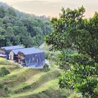 TALULAL HILL FARMSTAY RESORT 