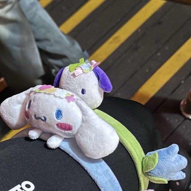 【エバーランド】🎡遊園地🐼動物園👙ウォーターパーク
