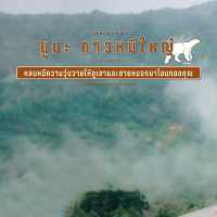 ยูมะ ดาวหมีใหญ่ 