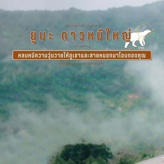ยูมะ ดาวหมีใหญ่ 