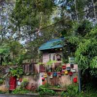 Kopi Hutan คาเฟ่ในป่าที่สูงที่สุดในปีนัง