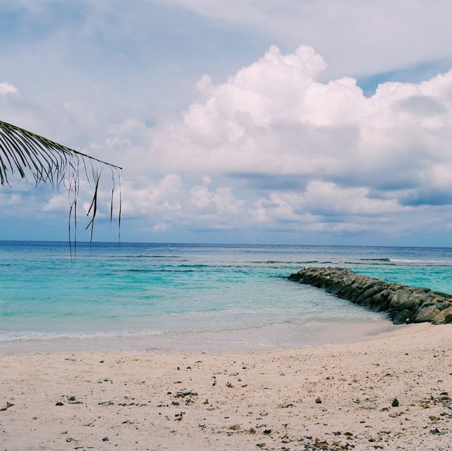 The Bikini Beach