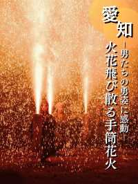 江戸時代の三大花火を受け継ぐ手筒花火発祥の地‼️大迫力の光景を見に行こう🎇