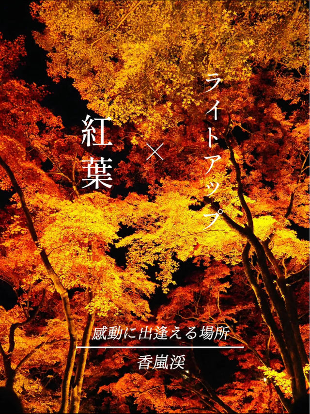 感動の紅葉が見れる🥺🍁香嵐渓🍁🥺