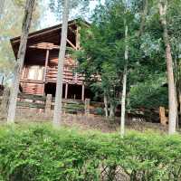 Escape to Paradise: Reconnect with Nature at Our Luxurious Resort