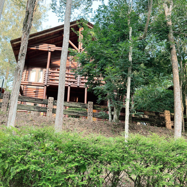 Escape to Paradise: Reconnect with Nature at Our Luxurious Resort