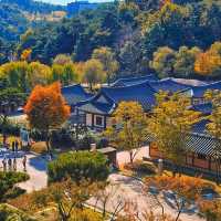 Tranquility at Chungcheongnam-do, South Korea 🇰🇷🌿