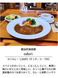 【徳島】保存版！徳島南部旅で行きたいグルメ9選