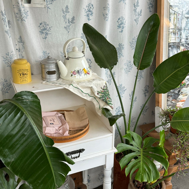 🌺˚₊[제주/카페] 귤꽃다락 :: 귤양갱 그리고 귤밭 포토존