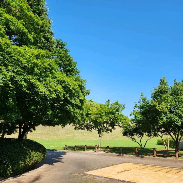 여름의 경주🩵