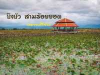 🌷ชมวิว ธรรมชาติ บึงบัว @สามร้อยยอด ปราณบุรี