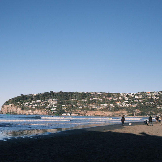 SUMNER BEACH CANTERBURY