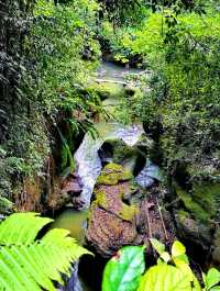 The Campuhan Ridge Walk, a nature escapade in Ubud, Bali