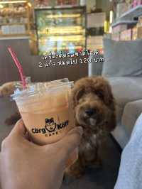 แนะนำ!! คาเฟ่หมาเฟรนด์ลี่🐶