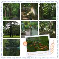 「娜麗公園：綠意盎然、錦鯉池美麗景緻，享受天然氧吧」