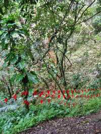Adventure outdoor hike in Taiwan