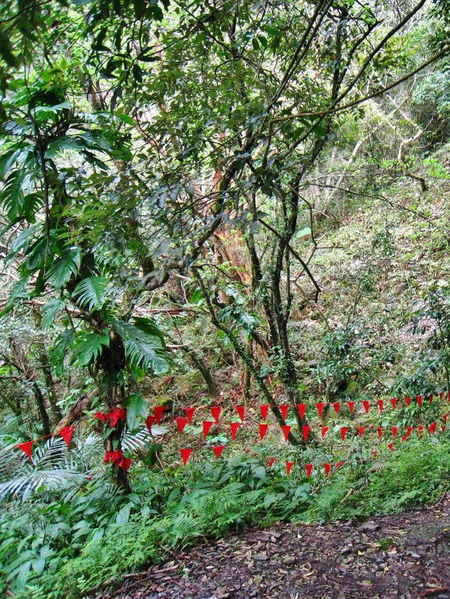 Adventure outdoor hike in Taiwan