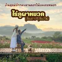 ไร่ภูผาหมวก ที่พักแสนสงบกลางทุ่งดอกไม้และสายหมอก