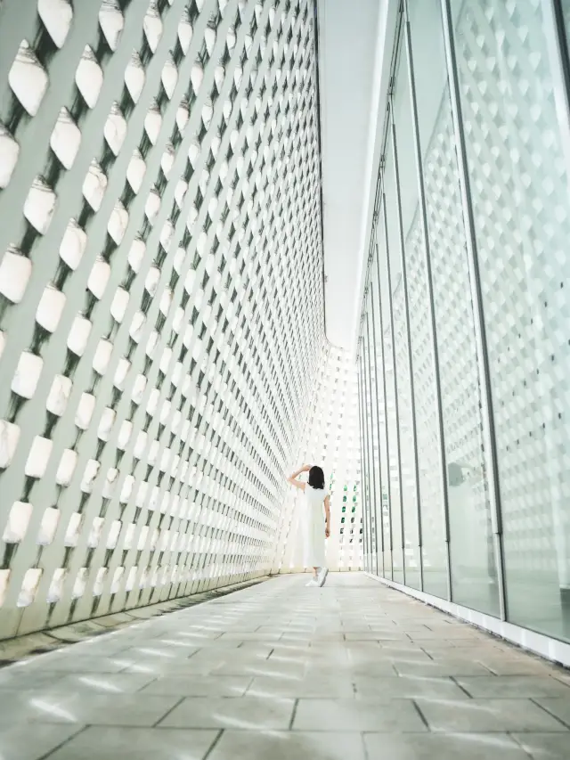 閃耀著美麗光芒的沖繩縣立博物館・美術館