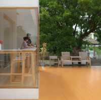 T Touch Cafe