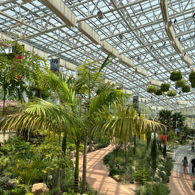 涙の女王ロケ地　水原　日月樹木園