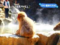長野景點｜冬季到長野看野生獼猴泡溫泉—長野地獄谷野猿公苑