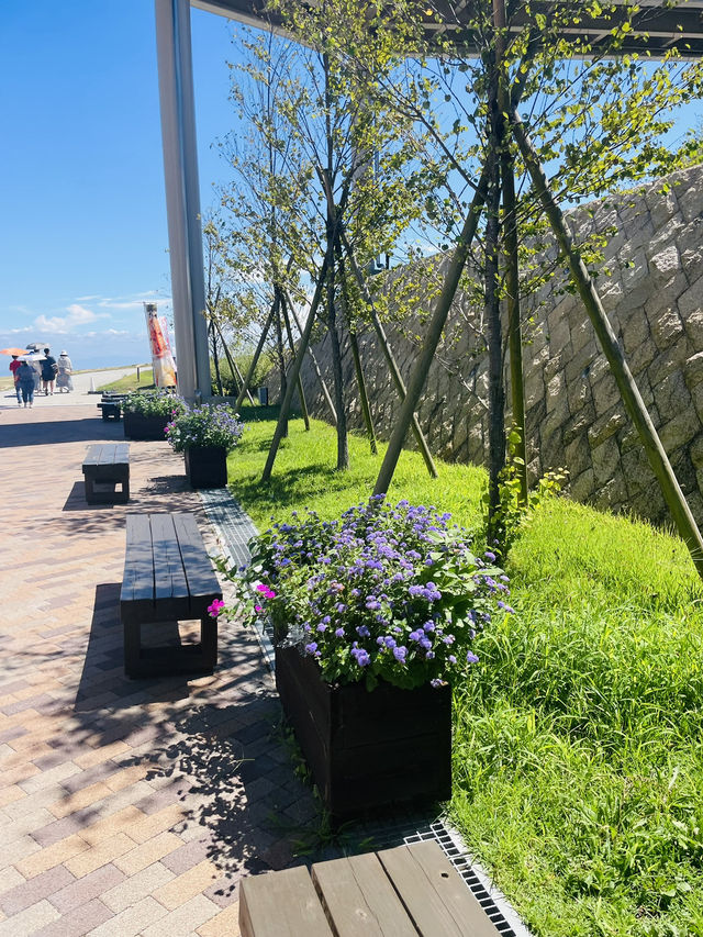 【兵庫県:淡路島】淡路島観光に外せないお花畑！！