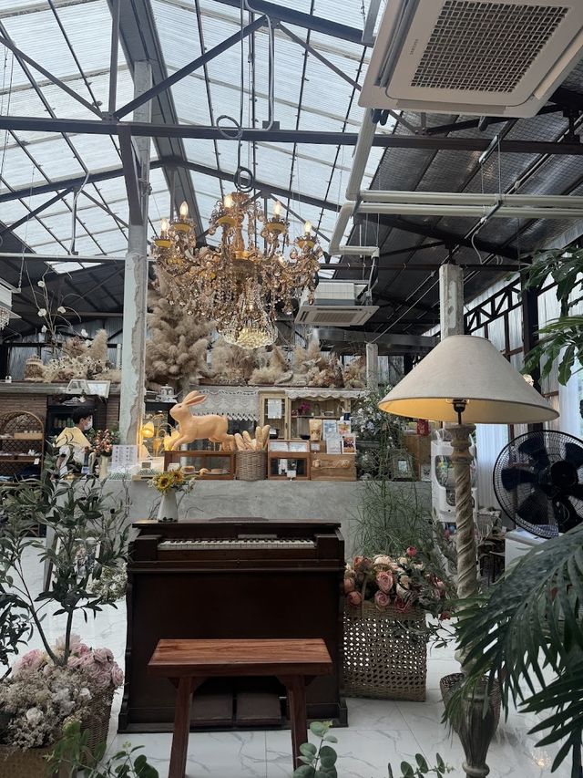 📍Padee in the wild (ปาฎี)