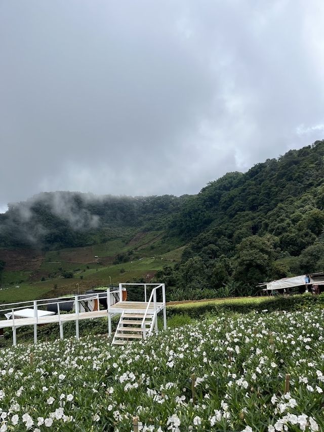 📍 ยิ่งยงสวนดอกไม้ 