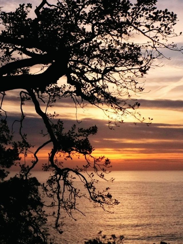 Golfo Paradiso