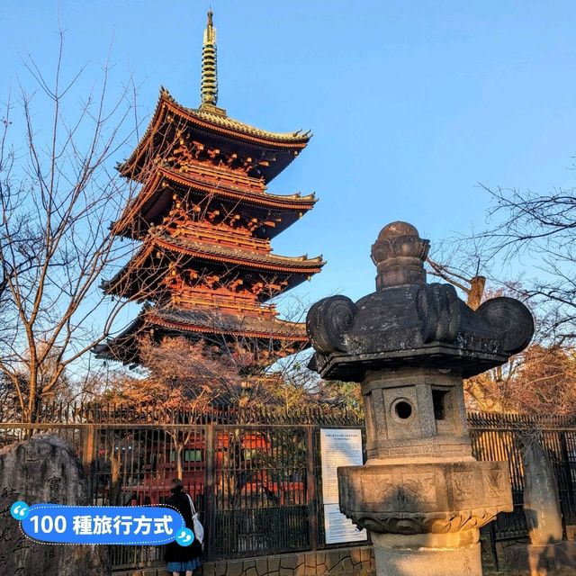 日本東京-大人小孩都喜歡的動物明星：上野動物園