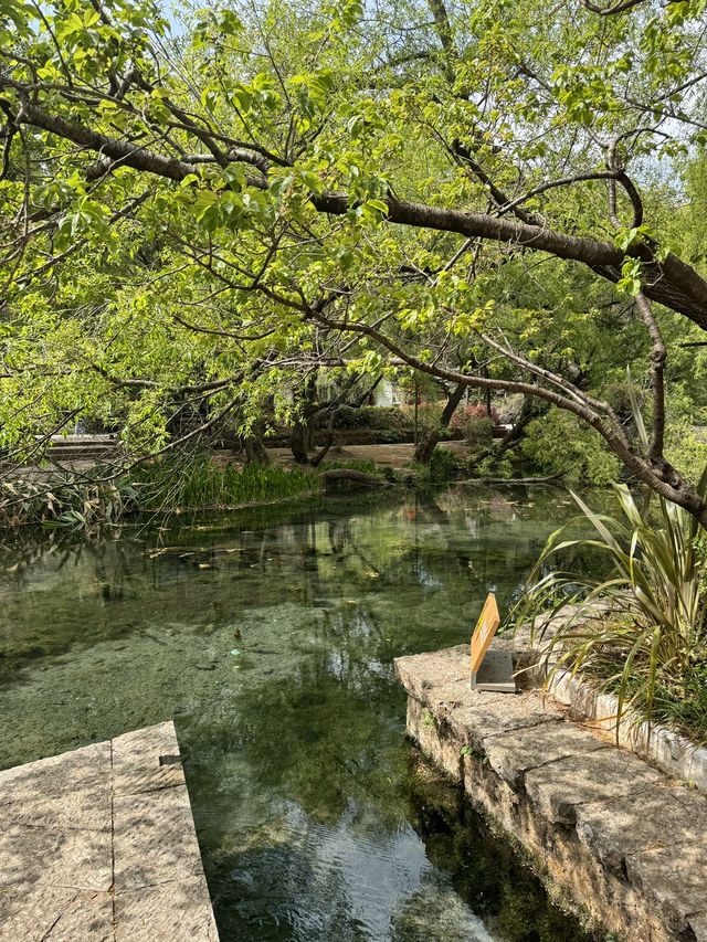 🇨🇳Travel back in time : Shuhe Ancient Town