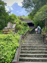 เป็นสวนสัตว์เปิด ที่เขาทั้งลูกเป็นบ้านของสัตว์จริง